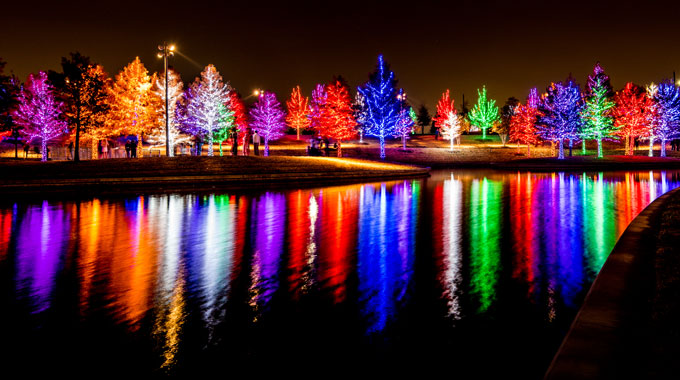Colorfully lit trees along the water