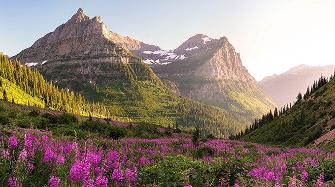 Mount Oberlin and Cannon Mountain at Glacier National Park