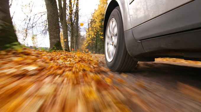 Car driving through autumn leaves