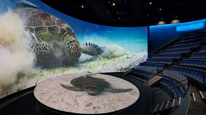 The curved screen inside the Pacific Visions Theater