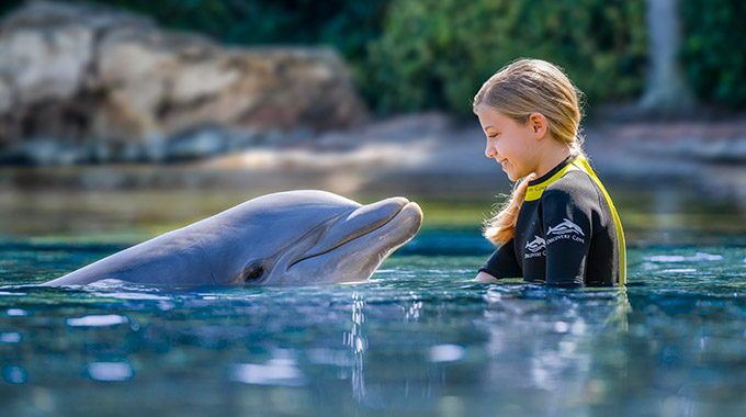 A girl and a dolphin in the water at Discovery Cove in Orlando