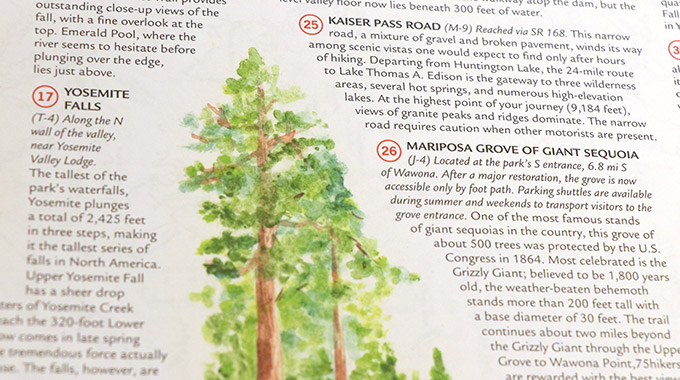 An extreme close-up of the AAA Yosemite National Park guide series map, discussing points of interest like the Mariposa Grove.