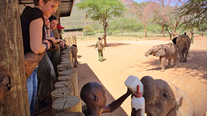 Travelers watch as a worker feeds a baby elephant at an elephant orphanage