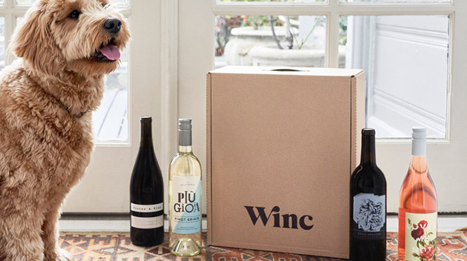 Dog with Winc delivery crate and 4 wine bottles