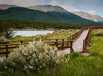 A trail at Tierra del Fuego National Park in Argentina