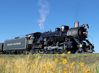 A Grand Canyon Railway steam locomotive in a field of flowers