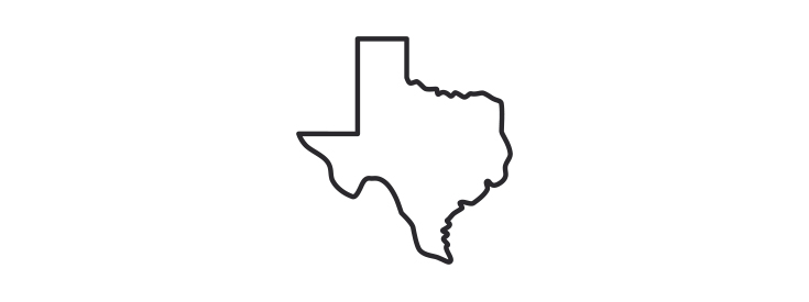 State of Texas icon State of Texas icon