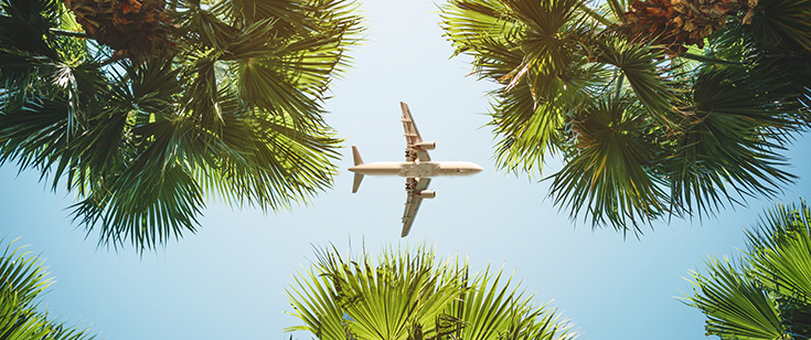 Plane flying over palm trees Plane flying over palm trees