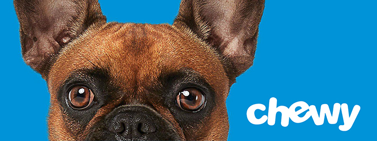 Dog and Chewy logo Dog and Chewy logo