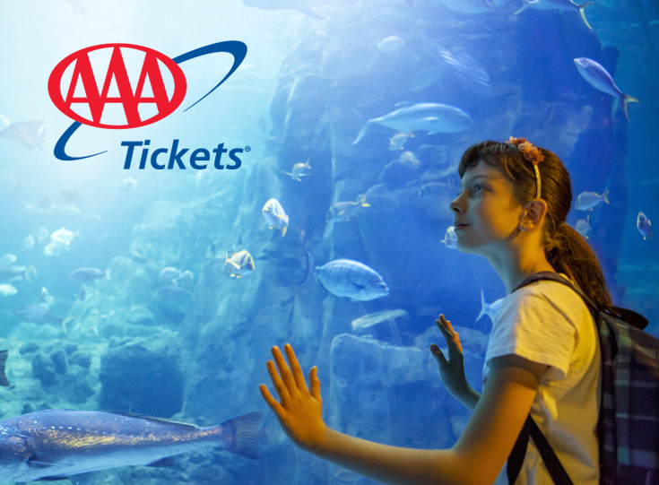 Girl at an aquarium looking at fish with a AAA Tickets logo overlay Girl at an aquarium looking at fish with a AAA Tickets logo overlay