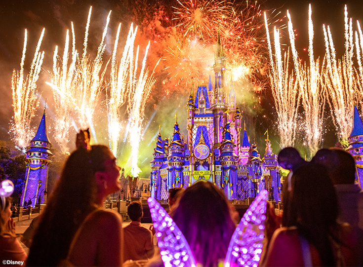 fireworks at Disney Castle fireworks at Disney Castle