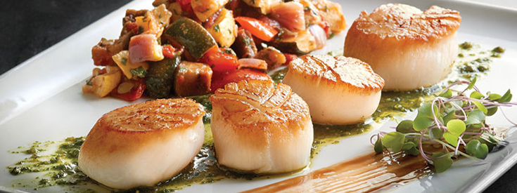Seared scallops arranged on a plate