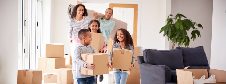 Family carrying boxes Family carrying boxes