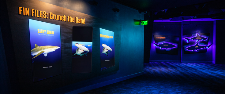New shark exhibit New shark exhibit