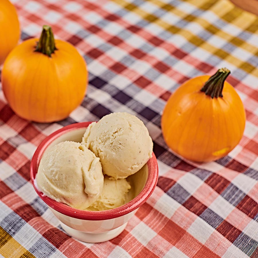 pumpkin ice cream