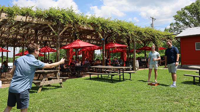 Group playing a lawn game on the grass at Augusta Winery.