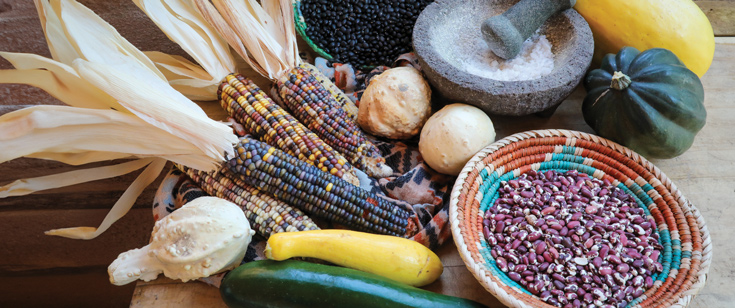 The Three Sisters: corn, beans, and squash. The Three Sisters: corn, beans, and squash.