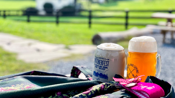 Two Wheatland Spring Farm & Brewery Oktoberfest cups filled with beer
