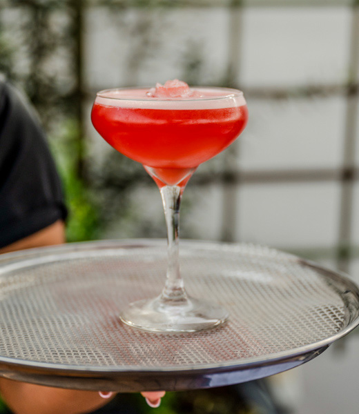 Elderwood Darling cocktail