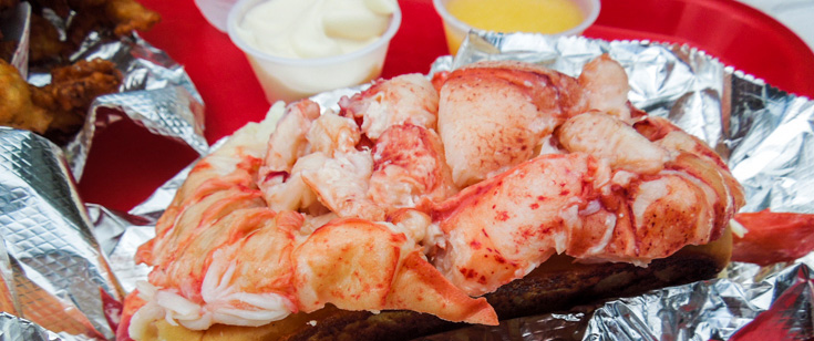Lobster roll, with sides of mayo and melted butter.