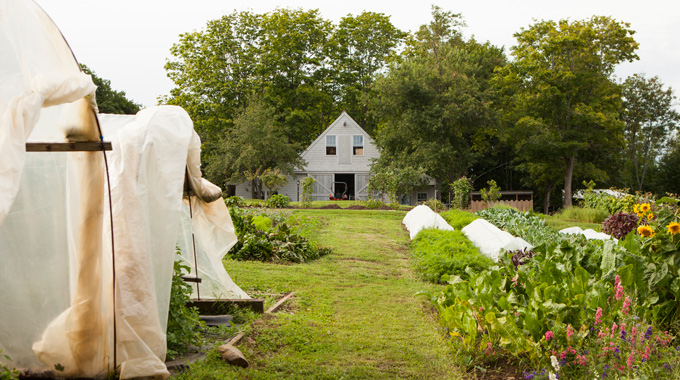 The gardens at Primo, with the farmhouse in the background.