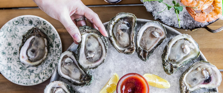 Oysters on the half shell. Oysters on the half shell.