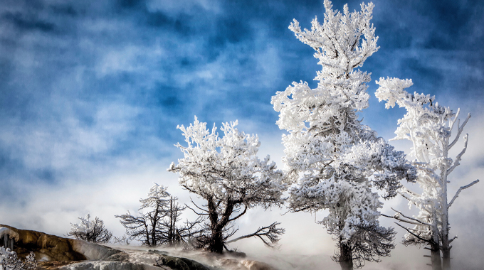 Mammoth Hot Springs, Yellowstone National Park by Gerald Fleury