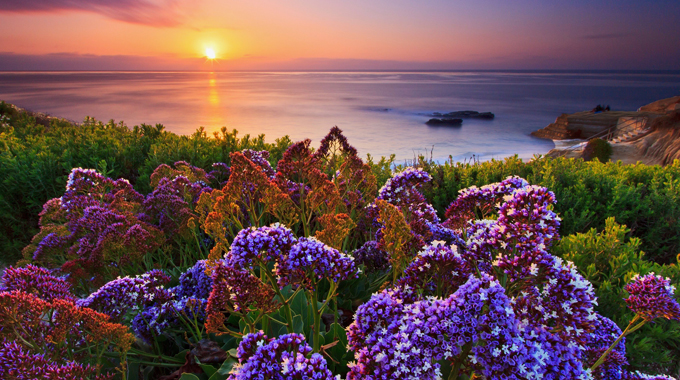 La Jolla, California by Sameer Pathak