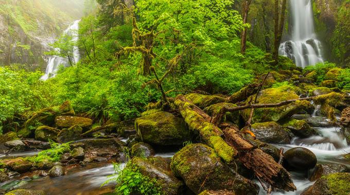 Oregon Waterfalls by Lacey Horner 