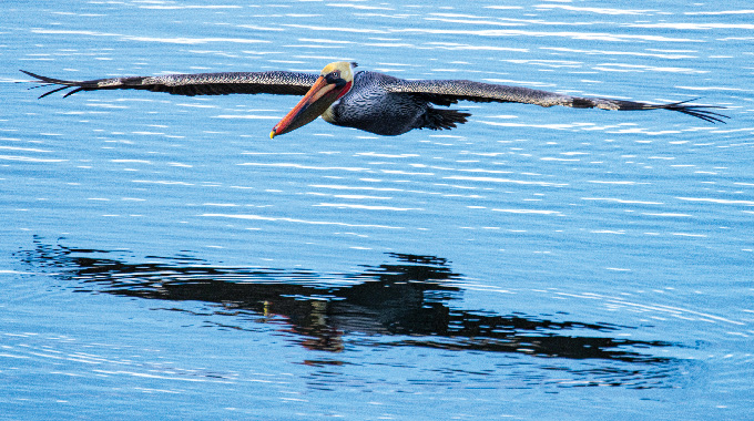 Cruising by Bernd Steinebrunner, a 38-year AAA member from Fountain Valley, California