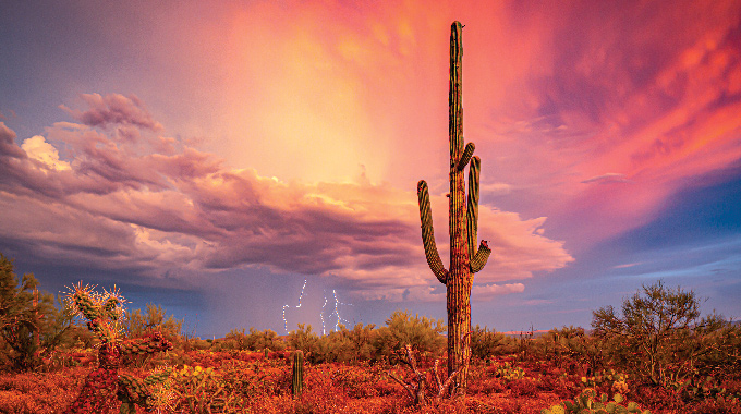 Desert Lightning By Gerald Fleury, a 30-year member from Torrance, California