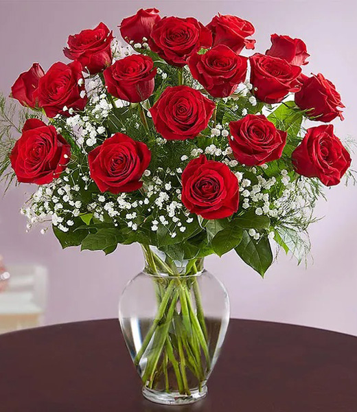 Rose Elegance™ Premium Long Stem Red Roses