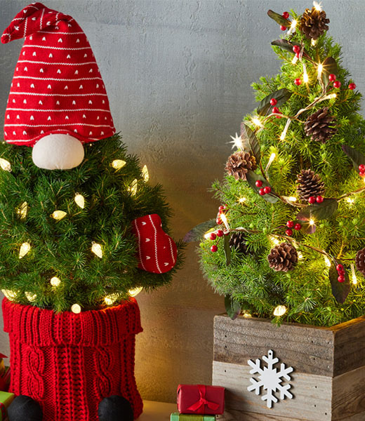 Spruce Christmas Tree Gnome and Rustic Christmas Tree