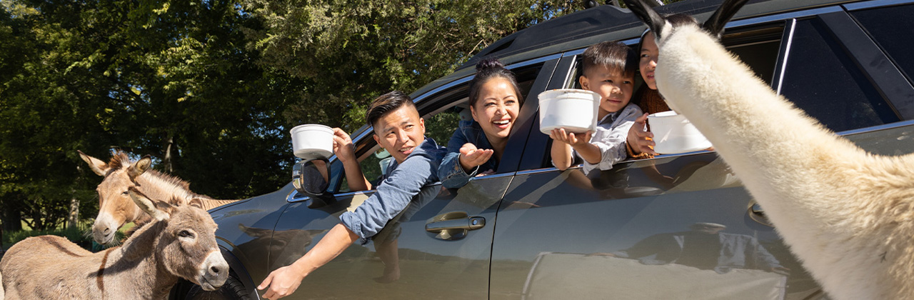 family-packing-car-for-road-trip family-packing-car-for-road-trip