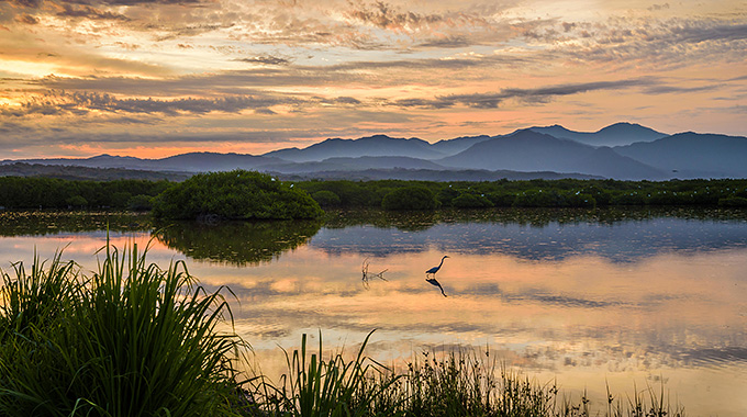 A serene sunrise at the San Blas estuary. | Photo by Greg Vaughn/VWPics/Alamy Stock Photo
