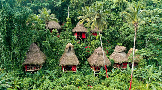 There’s no better welcome to the jungle than you’ll find here. | Photo courtesy Dominican Treehouse Village