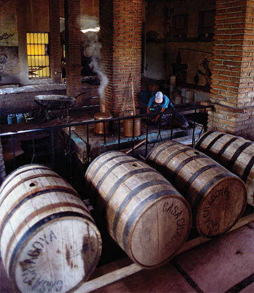 Mezcal Barrels