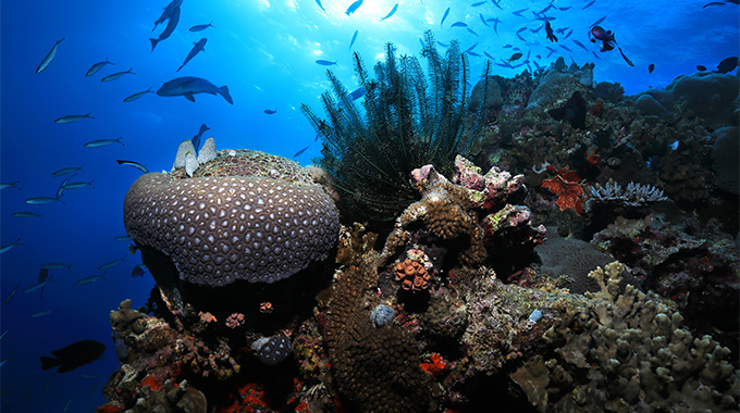 Great Barrier Reef