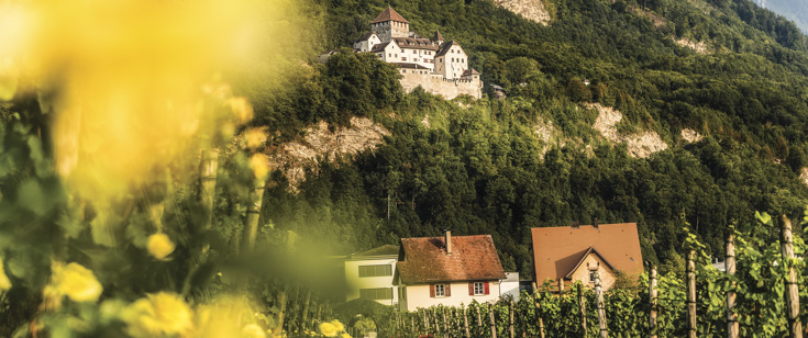 Vaduz Castle Vaduz Castle