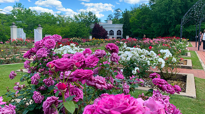 Birmingham Botanical Garden