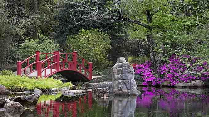 Birmingham Botanical Gardens