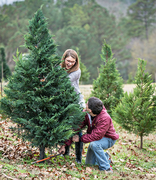 Which is more fun: picking out your tree or trimming your tree? We love both. | Photo by Art Meripol