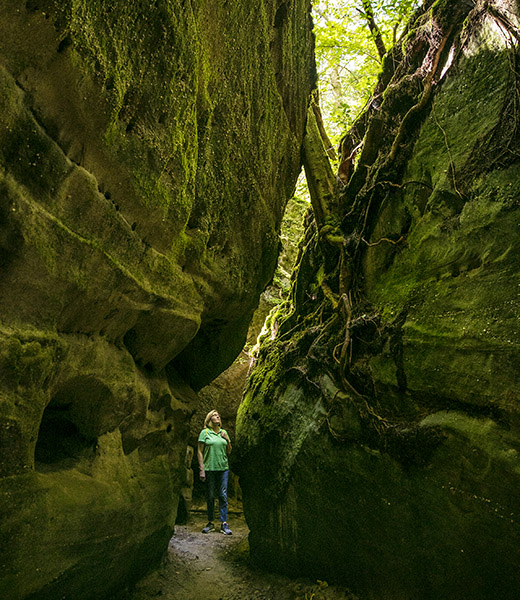 dismals canyon alabama