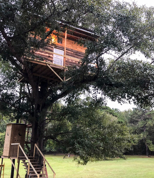 Tree Top Tree House