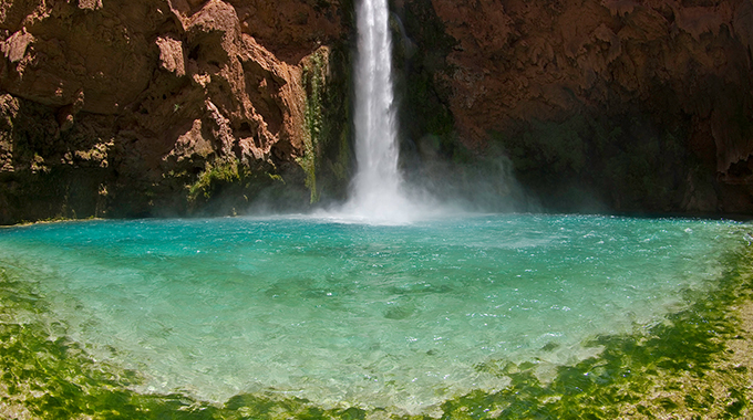 Havasupai's turquoise waters are a lure for travelers from all parts of the globe. 
