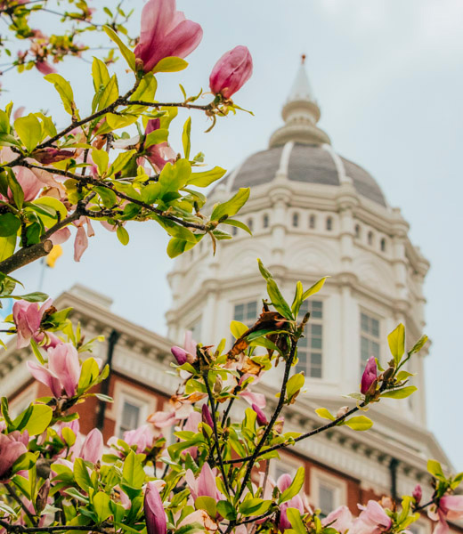 University of Missouri Columbia