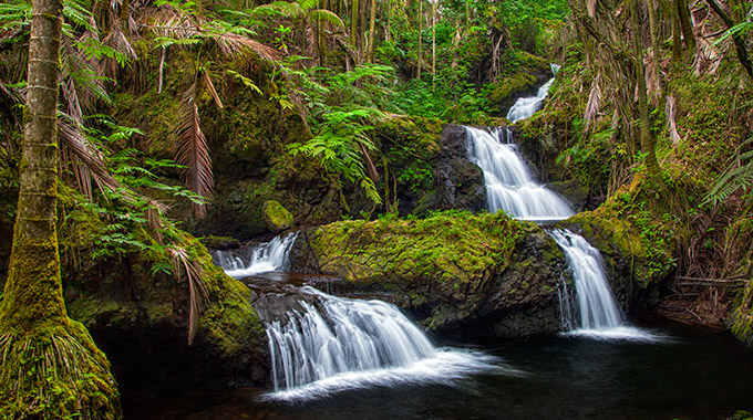 A moss-covered jungle surrounds Onomea Falls in Hawai‘i Tropical Bioreserve and Garden. | Photo by Paula Cobleigh/stock.adobe.com