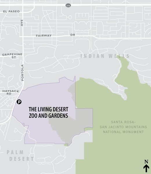 Living Desert walking route