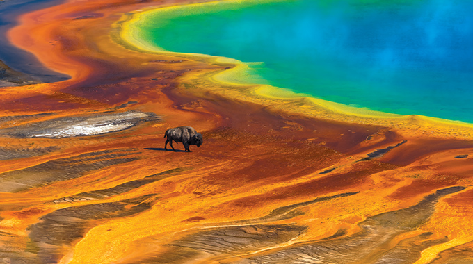 Endurance by Nic Stover Endurance by Nic Stover