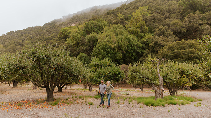 Strolling the orchard at See Canyon Fruit Ranch. 